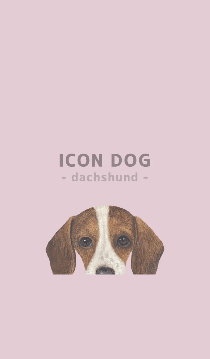 [LINE着せ替え] ICON DOG - ダックスフンド - PASTEL PK/04の画像1