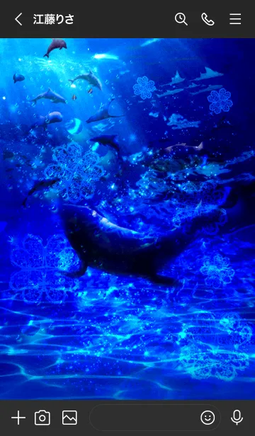 [LINE着せ替え] 運気を引き寄せる クジラとイルカ 水族館の画像3