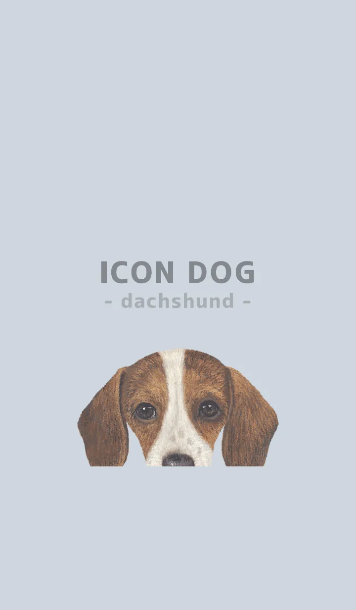 [LINE着せ替え] ICON DOG - ダックスフンド - PASTEL BL/04の画像1