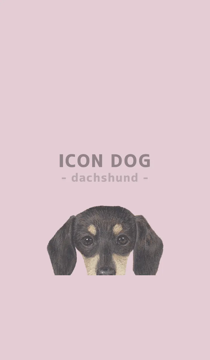 [LINE着せ替え] ICON DOG - ダックスフンド - PASTEL PK/05の画像1