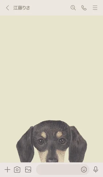[LINE着せ替え] ICON DOG - ダックスフンド - PASTEL YE/05の画像3