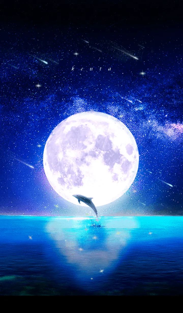 [LINE着せ替え] 幸運を運ぶ月夜のイルカ✨けんた✨の画像1