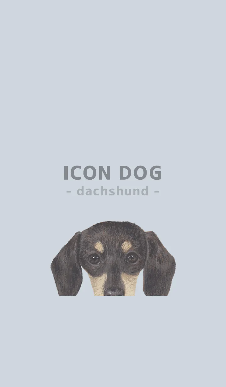 [LINE着せ替え] ICON DOG - ダックスフンド - PASTEL BL/05の画像1