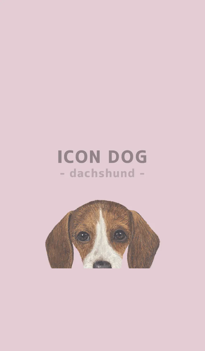 [LINE着せ替え] ICON DOG - ダックスフンド - PASTEL PK/06の画像1