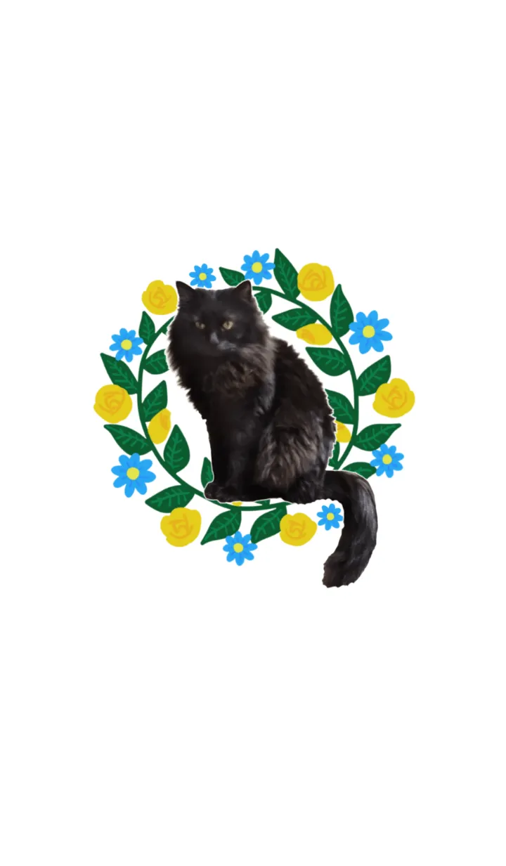実写が可愛い♥黒猫＆花の着せ替えメイン画像