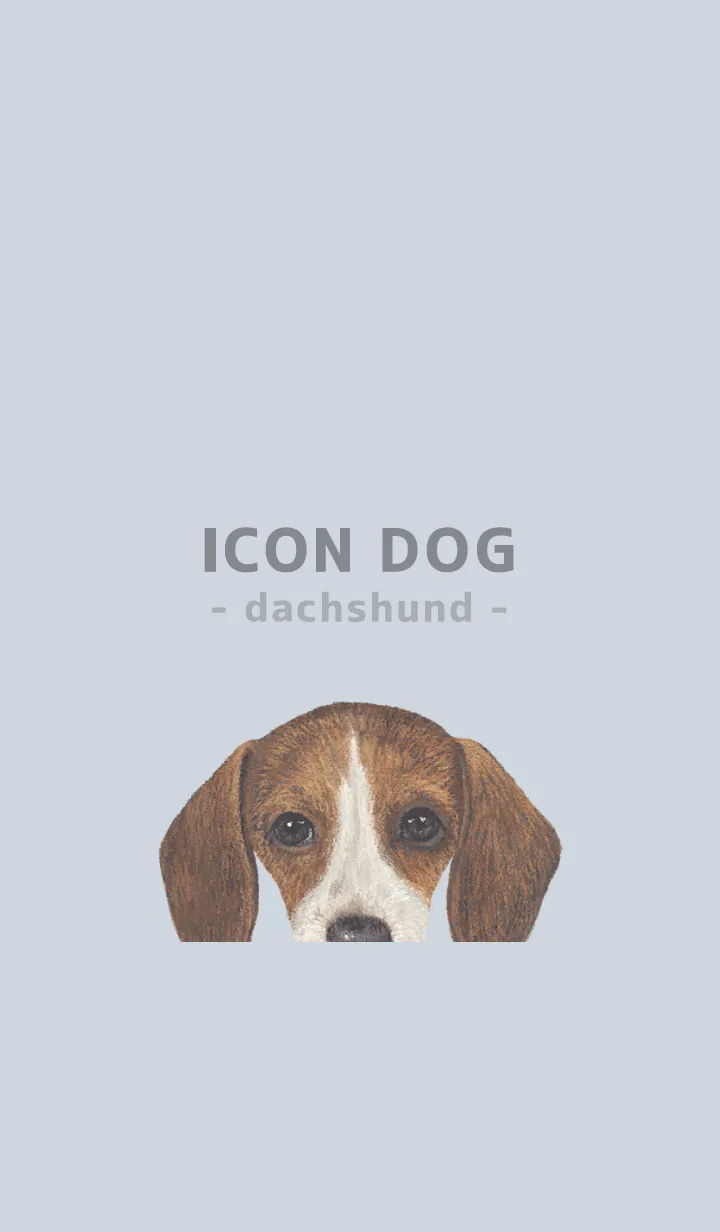 [LINE着せ替え] ICON DOG - ダックスフンド - PASTEL BL/06の画像1