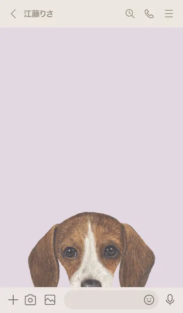 [LINE着せ替え] ICON DOG - ダックスフンド - PASTEL PL/06の画像3