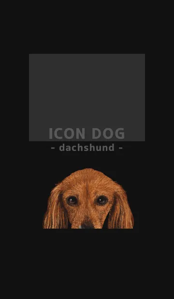 [LINE着せ替え] ICON DOG - ダックスフンド - BLACK/07の画像1