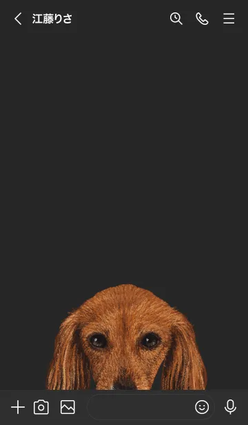 [LINE着せ替え] ICON DOG - ダックスフンド - BLACK/07の画像3