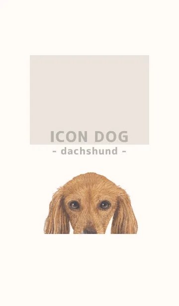 [LINE着せ替え] ICON DOG - ダックスフンド - BEIGE/07の画像1