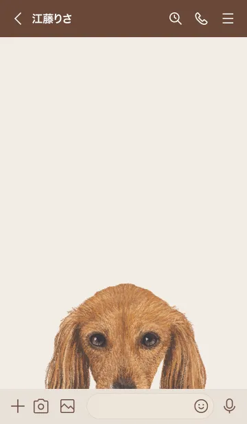 [LINE着せ替え] ICON DOG - ダックスフンド - BROWN/07の画像3