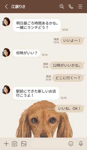 [LINE着せ替え] ICON DOG - ダックスフンド - BROWN/07の画像4