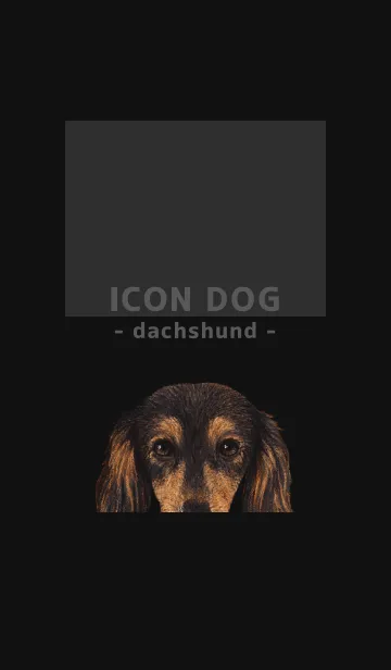 [LINE着せ替え] ICON DOG - ダックスフンド - BLACK/08の画像1