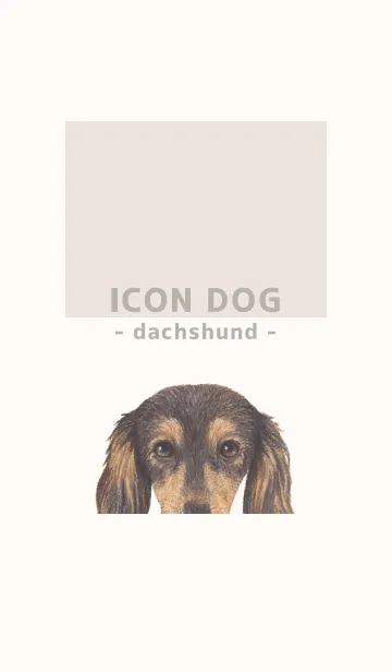 [LINE着せ替え] ICON DOG - ダックスフンド - BEIGE/08の画像1