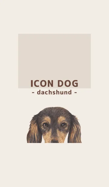 [LINE着せ替え] ICON DOG - ダックスフンド - BROWN/08の画像1