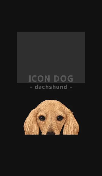 [LINE着せ替え] ICON DOG - ダックスフンド - BLACK/09の画像1