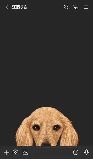 [LINE着せ替え] ICON DOG - ダックスフンド - BLACK/09の画像3