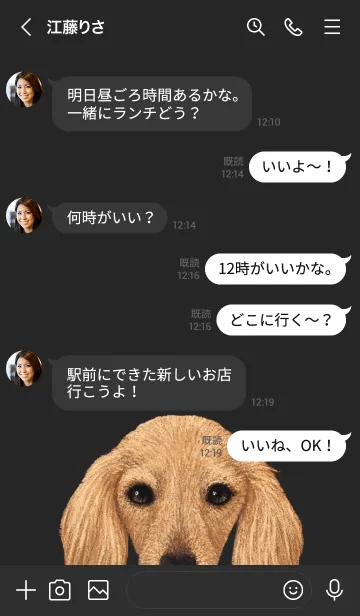 [LINE着せ替え] ICON DOG - ダックスフンド - BLACK/09の画像4