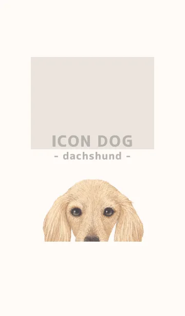 [LINE着せ替え] ICON DOG - ダックスフンド - BEIGE/09の画像1