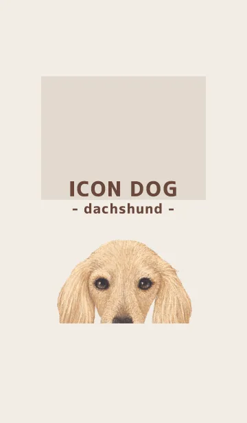 [LINE着せ替え] ICON DOG - ダックスフンド - BROWN/09の画像1