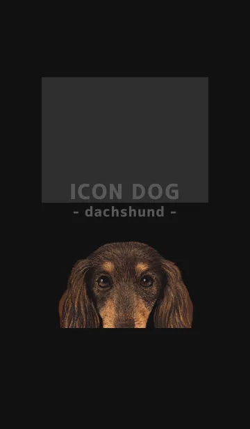 [LINE着せ替え] ICON DOG - ダックスフンド - BLACK/10の画像1