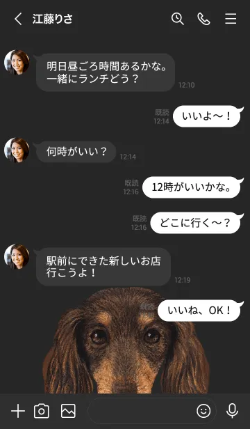 [LINE着せ替え] ICON DOG - ダックスフンド - BLACK/10の画像4