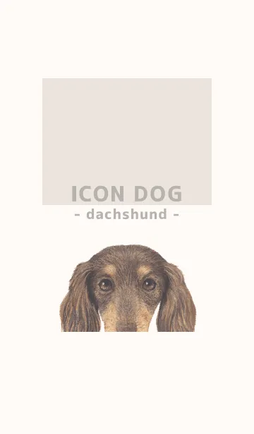 [LINE着せ替え] ICON DOG - ダックスフンド - BEIGE/10の画像1