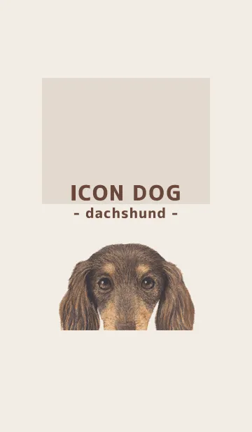 [LINE着せ替え] ICON DOG - ダックスフンド - BROWN/10の画像1