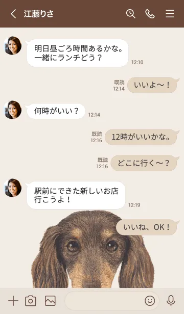 [LINE着せ替え] ICON DOG - ダックスフンド - BROWN/10の画像4