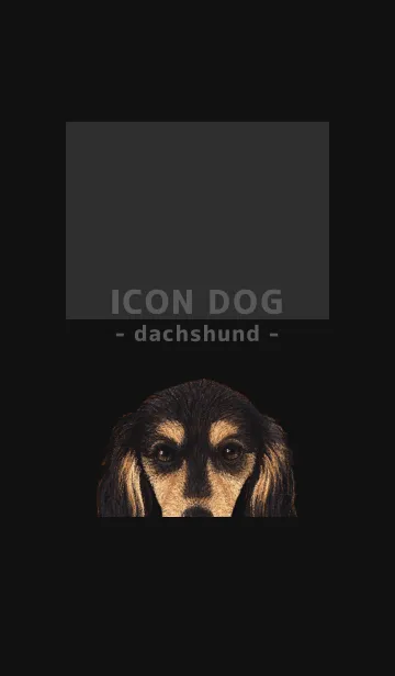 [LINE着せ替え] ICON DOG - ダックスフンド - BLACK/11の画像1