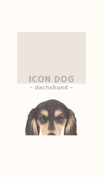 [LINE着せ替え] ICON DOG - ダックスフンド - BEIGE/11の画像1