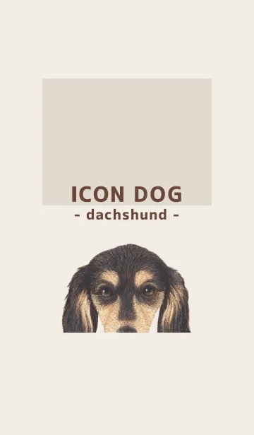 [LINE着せ替え] ICON DOG - ダックスフンド - BROWN/11の画像1