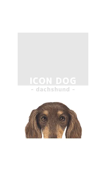 [LINE着せ替え] ICON DOG - ダックスフンド - GRAY/12の画像1