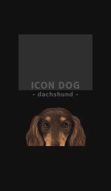 ICON DOG - ダックスフンド - BLACK/12の着せ替えメイン画像