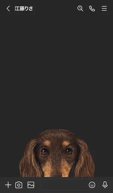 [LINE着せ替え] ICON DOG - ダックスフンド - BLACK/12の画像3