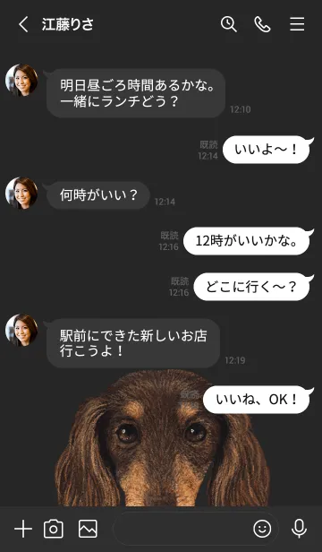 [LINE着せ替え] ICON DOG - ダックスフンド - BLACK/12の画像4