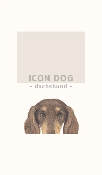 [LINE着せ替え] ICON DOG - ダックスフンド - BEIGE/12の画像1