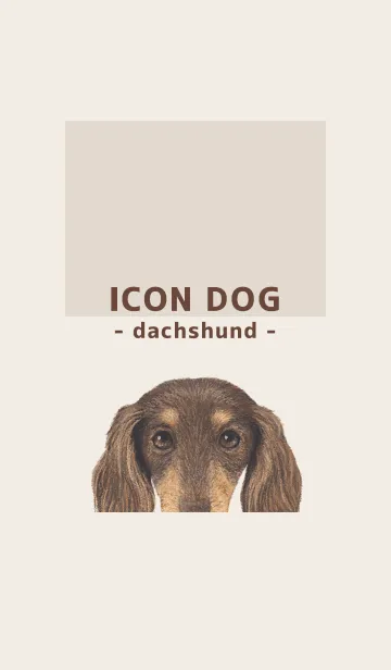 [LINE着せ替え] ICON DOG - ダックスフンド - BROWN/12の画像1