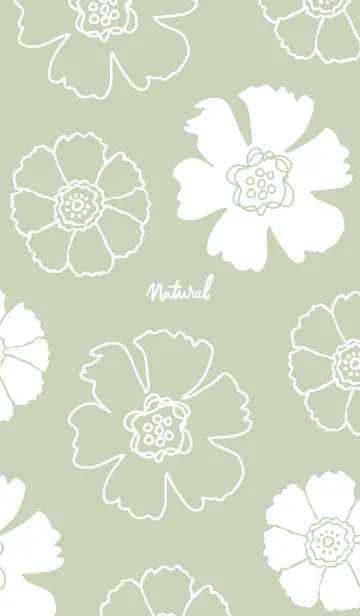 [LINE着せ替え] 2種の白い花グリーン2の画像1