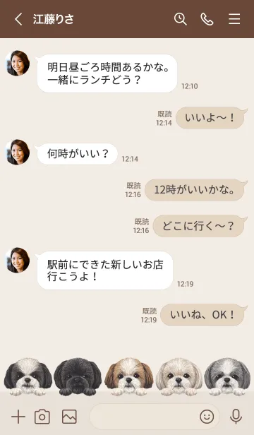 [LINE着せ替え] わんわんドッグ - シーズー -の画像4