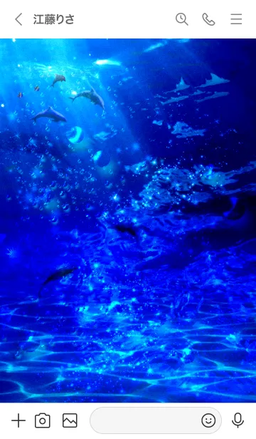 [LINE着せ替え] 運気を引き寄せるイルカ2 水族館の画像3