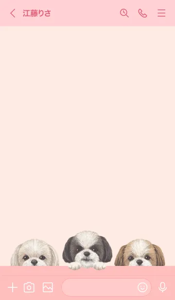 [LINE着せ替え] ワンワン - シーズー - 桜 ピンクの画像3