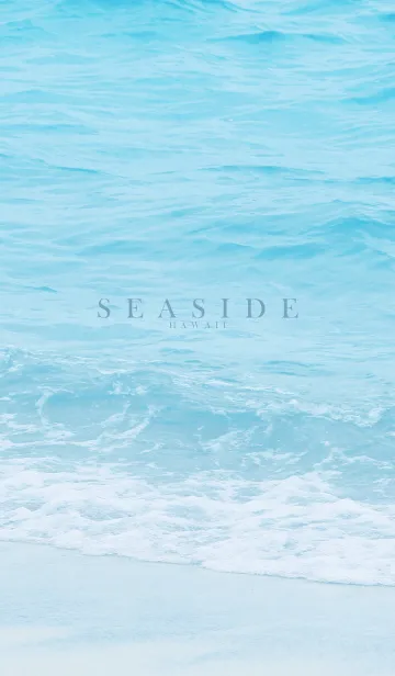 [LINE着せ替え] SEASIDE-HAWAII 21の画像1