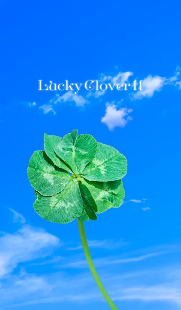 [LINE着せ替え] LuckyClover11の画像1