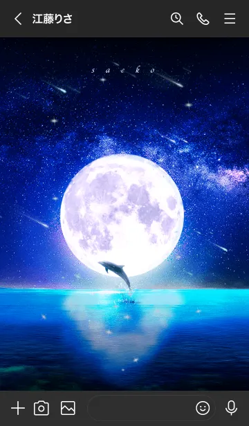 [LINE着せ替え] 幸運を運ぶ月夜のイルカ✨さえこ✨の画像3