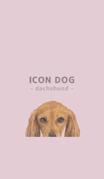 [LINE着せ替え] ICON DOG - ダックスフンド - PASTEL PK/07の画像1