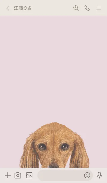 [LINE着せ替え] ICON DOG - ダックスフンド - PASTEL PK/07の画像3