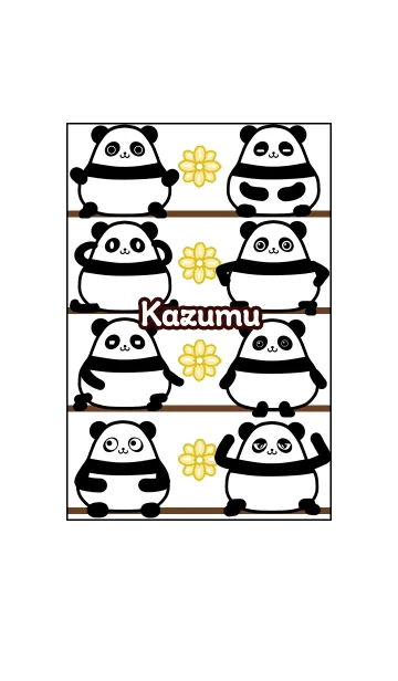 かずむ★まんまるカワイイ♥パンダのLINE着せ替え