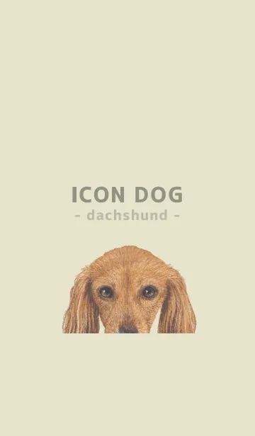 [LINE着せ替え] ICON DOG - ダックスフンド - PASTEL YE/07の画像1