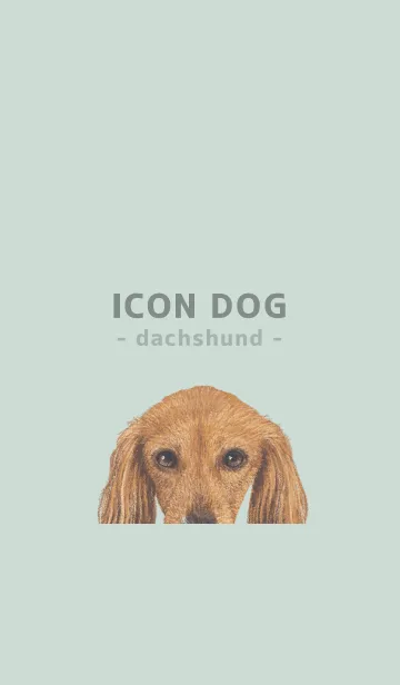 [LINE着せ替え] ICON DOG - ダックスフンド - PASTEL GR/07の画像1